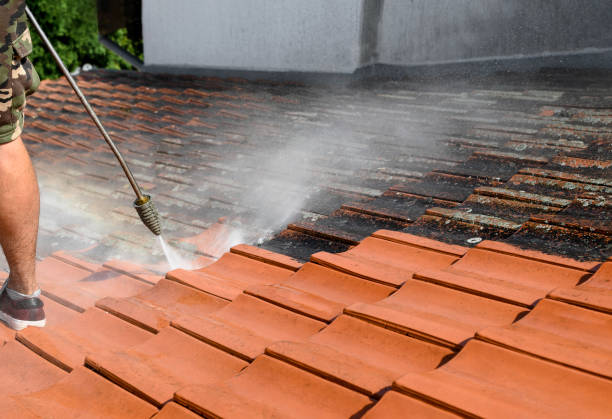 Trusted Ocean Gate, NJ Pressure Washing Experts
